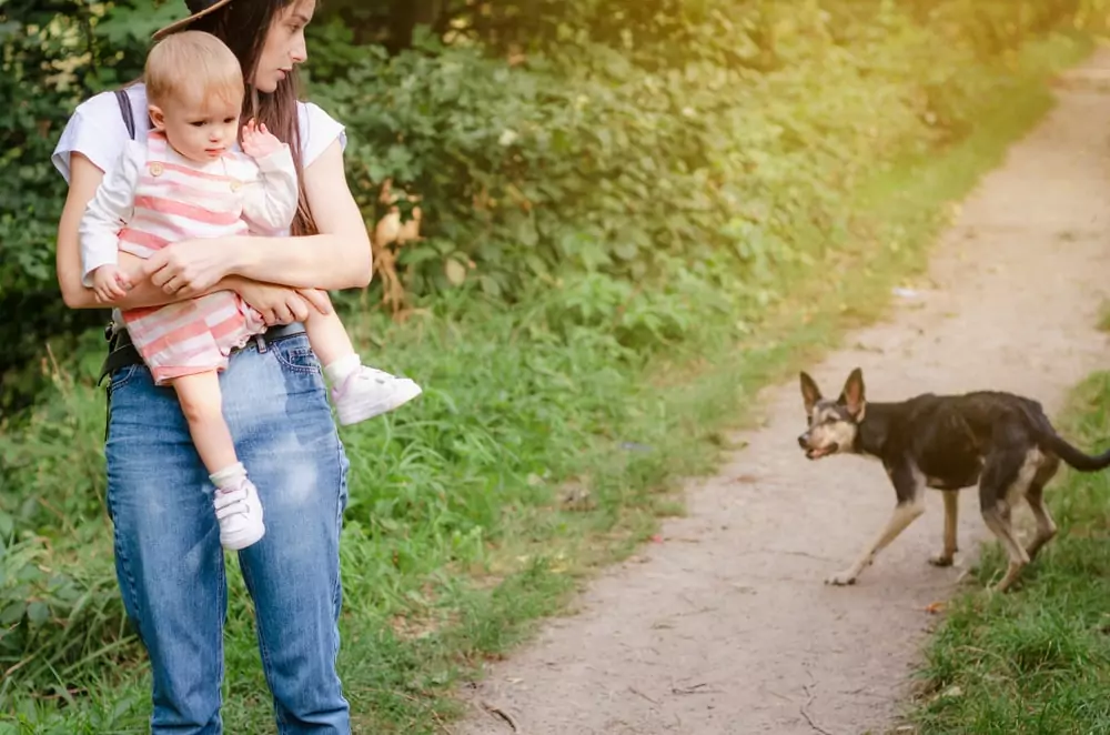 california dog bite attorney heling a woman and her child