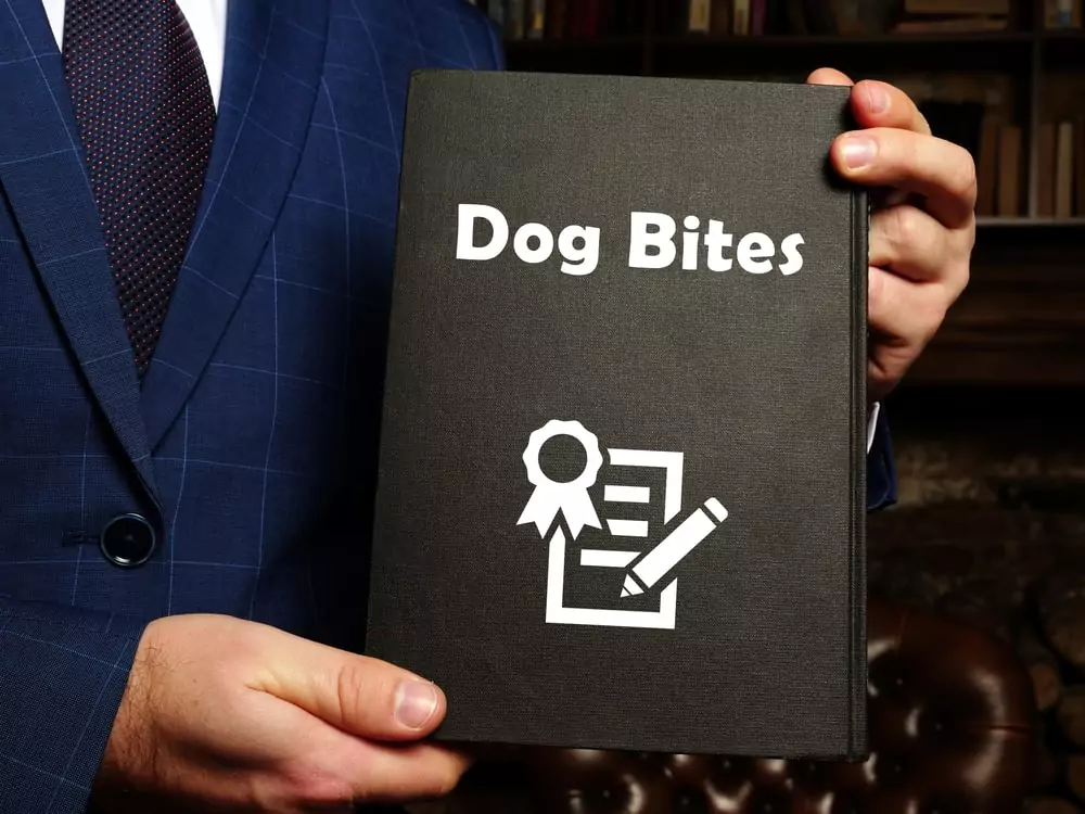 California dog bite attorney